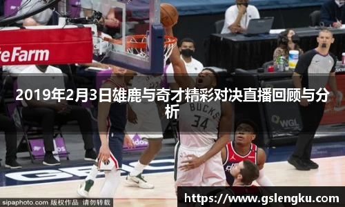 2019年2月3日雄鹿与奇才精彩对决直播回顾与分析