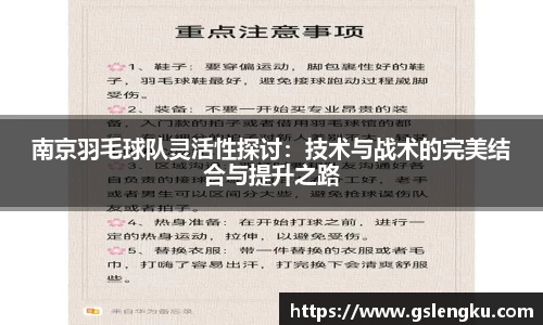 南京羽毛球队灵活性探讨：技术与战术的完美结合与提升之路