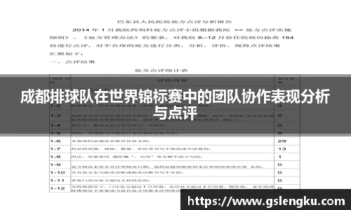 成都排球队在世界锦标赛中的团队协作表现分析与点评